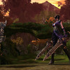 Capture de Tera: The Exiled Realm of Arborea