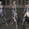 Capture de Tera: The Exiled Realm of Arborea