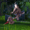 Capture de Tera: The Exiled Realm of Arborea