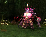 Lineage II Freya 05 Lineage II Freya 05