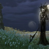 Capture de Lineage II: The Chaotic Throne
