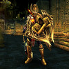 Capture de Warrior Epic 