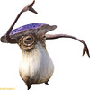 Capture de Final Fantasy XIV Online