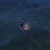Capture de Final Fantasy XIV Online