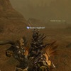 Capture de Final Fantasy XIV Online
