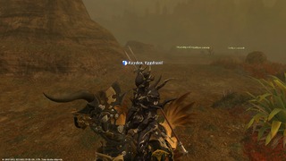 DRG sur Chocobo en armure lourde DRG sur Chocobo en armure lourde