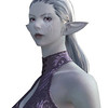 Capture de Final Fantasy XIV Online