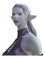 Elezen : Shader Elezen : Shader