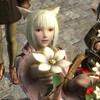 Capture de Final Fantasy XIV Online