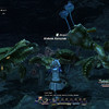 Capture de Final Fantasy XIV Online