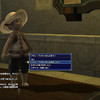 Capture de Final Fantasy XIV Online