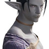 Capture de Final Fantasy XIV Online