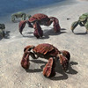 Capture de Final Fantasy XIV Online
