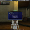 Capture de Final Fantasy XIV Online