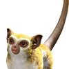 Capture de Final Fantasy XIV Online