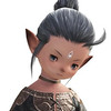 Capture de Final Fantasy XIV Online
