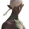 Capture de Final Fantasy XIV Online