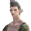Capture de Final Fantasy XIV Online