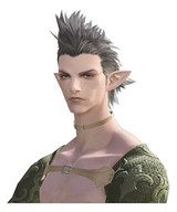 Elezen : Forester Elezen : Forester