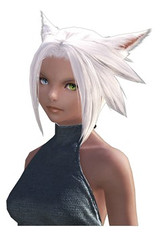 Miqo'te : Keepers of the Sun Miqo'te : Keepers of the Sun