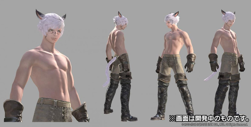 Aper�u nouvelle race : Miqo'te m�le