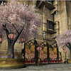 Capture de Final Fantasy XIV Online
