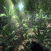Capture de Crytek