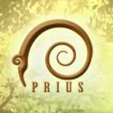 Plus d'informations sur Prius Online Vignette