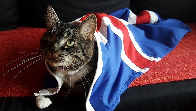 Cl-0UKTWIAAWhyP.jpg Cl-0UKTWIAAWhyP.jpg