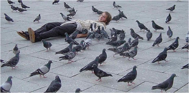 pigeons_venise_1.jpg pigeons_venise_1.jpg