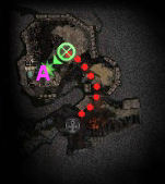 coop11-3.jpg coop11-3.jpg