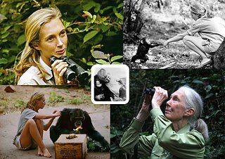 556108629_1251746083632411_7542057932136582612_n.jpg 556108629_1251746083632411_7542057932136582612_n.jpg