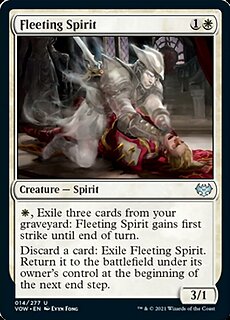 vow-14-fleeting-spirit.jpg