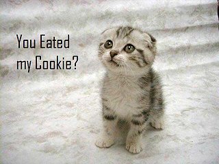 Cliquez sur l'image pour la voir en taille relle

Nom : youeatedcookie.jpg
Taille : 600x450
Poids : 30,1 Ko
ID : 45530
