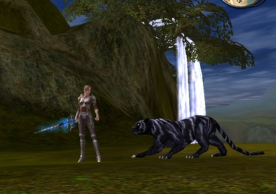 rayure_2.jpg rayure_2.jpg