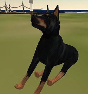 Cliquez sur l'image pour la voir en taille relle

Nom : Rott.jpg
Taille : 470x499
Poids : 84,7 Ko
ID : 34540