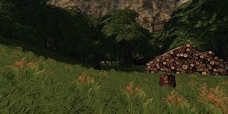Cliquez sur l'image pour la voir en taille relle

Nom : FoliageWorkInProgress.jpg
Taille : 1822x911
Poids : 468,4 Ko
ID : 94150