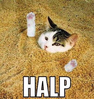 Cliquez sur l'image pour la voir en taille relle

Nom : halp.jpg
Taille : 347x364
Poids : 75,1 Ko
ID : 91250