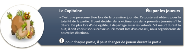 1403198833-le-capitaine.png