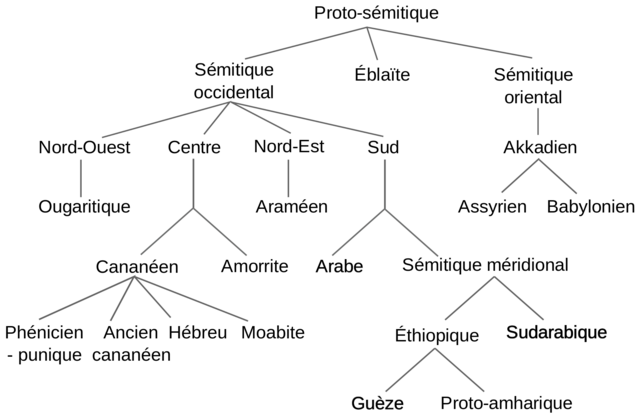 1920px-Arbre_des_langues_s%C3%A9mitiques2.svg.png 1920px-Arbre_des_langues_s%C3%A9mitiques2.svg.png