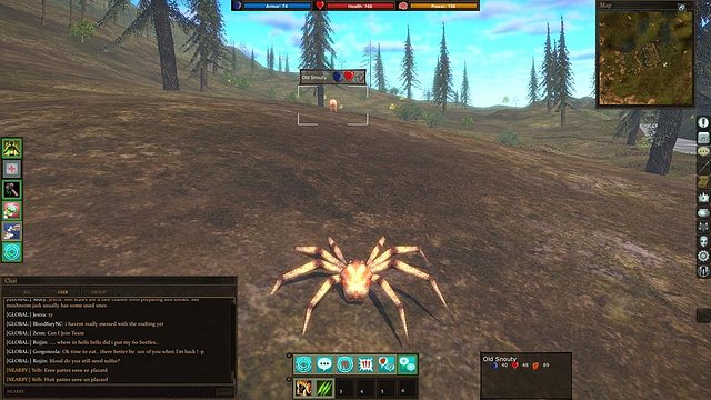 gorgon_14.jpg gorgon_14.jpg