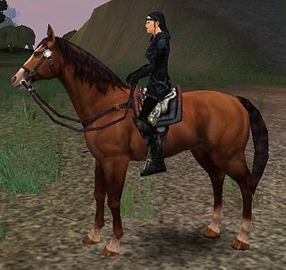 Cliquez sur l'image pour la voir en taille relle

Nom : selle mystique.jpg
Taille : 573x540
Poids : 224,9 Ko
ID : 28470