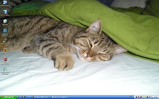 Cliquez sur l'image pour la voir en taille relle

Nom : bueau.JPG
Taille : 1280x800
Poids : 96,8 Ko
ID : 41570