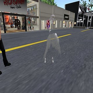 bug1.jpg bug1.jpg
