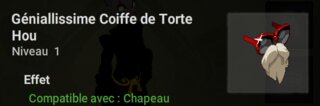 coiffe tortehou.png