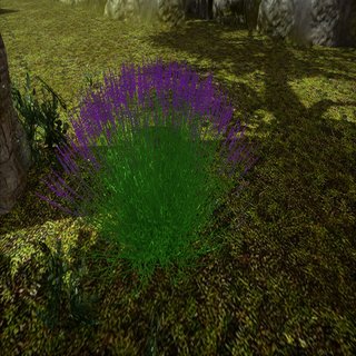 Cliquez sur l'image pour la voir en taille relle

Nom : fleurs lavander600x600.png
Taille : 600x600
Poids : 730,6 Ko
ID : 287601