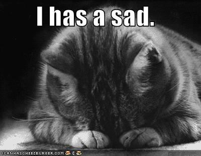sad-cat.jpg sad-cat.jpg