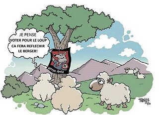 mouton.jpg
