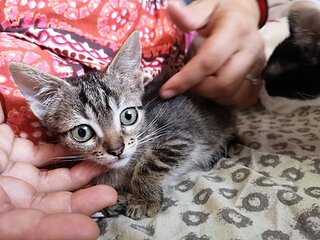 WhatsApp Image 2019-08-29 at 19.04.16.jpg WhatsApp Image 2019-08-29 at 19.04.16.jpg