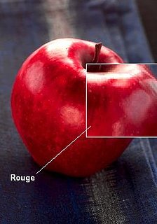 Cliquez sur l'image pour la voir en taille relle

Nom : lapomme.jpg
Taille : 259x370
Poids : 14,7 Ko
ID : 35311